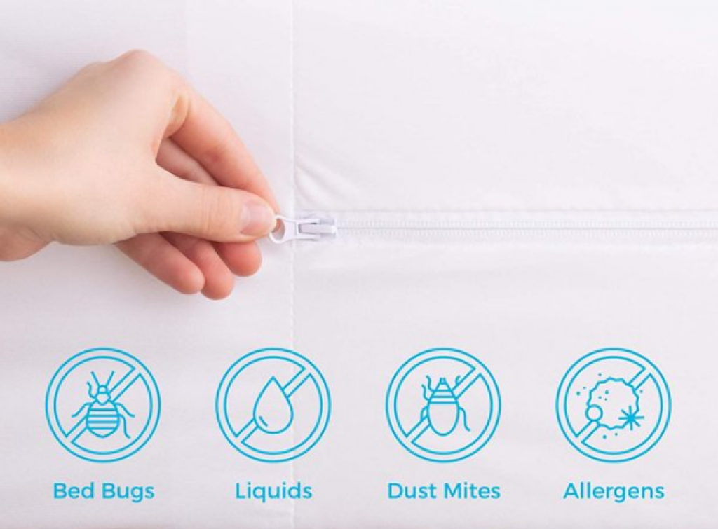 Best Bed Bug Mattress Cover Buyer’s Guide